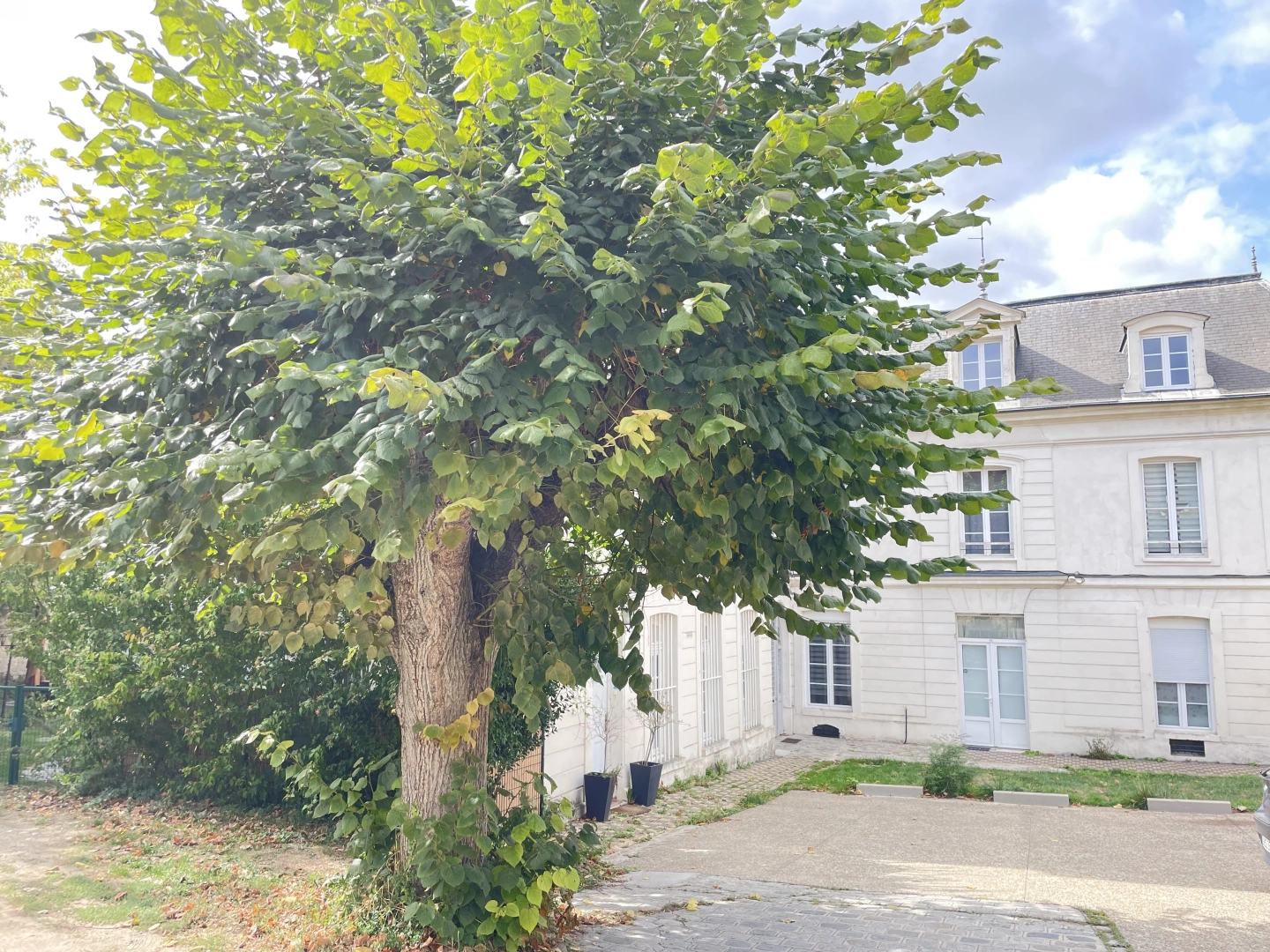 property